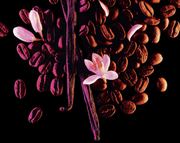 YSL Black Opium EDP Spray 30ml - Seductive Oriental Coffee Vanilla