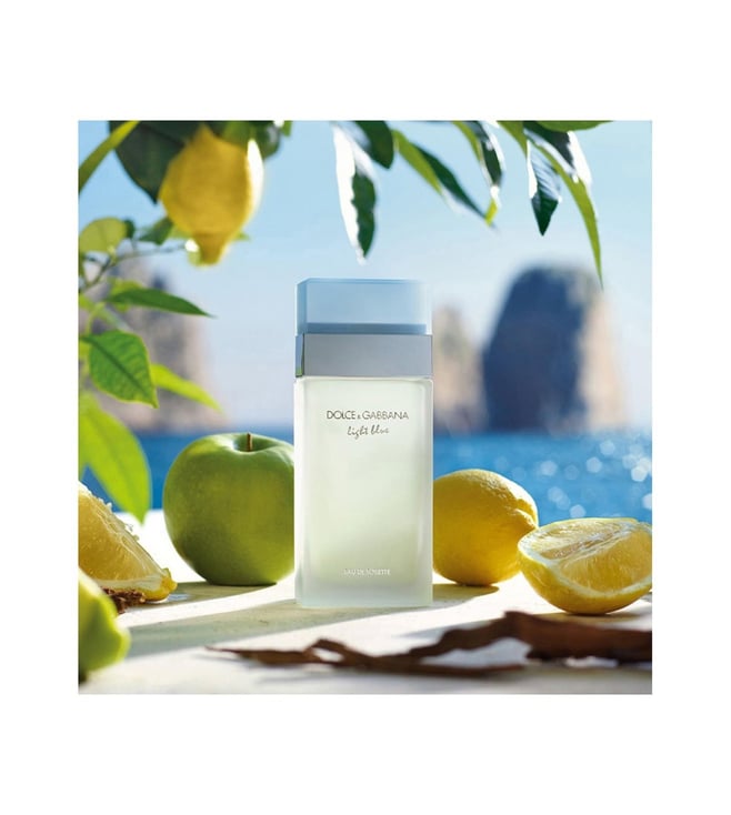 Dolce & Gabbana Light Blue Eau de Toilette Spray 25ml