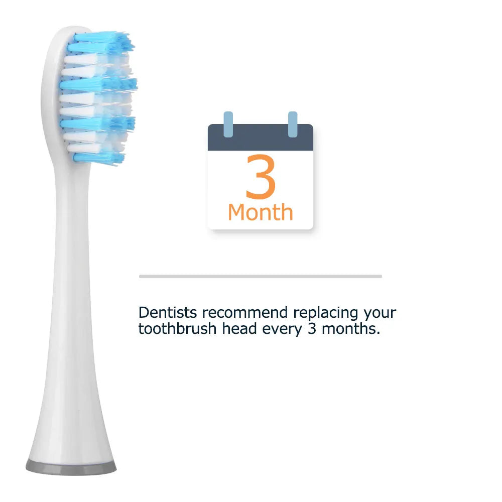 Mornwell D903 4pcs White Standard Replacement Toothbrush Heads with Caps for Mornwell D01/D02 Electric Toothbrush