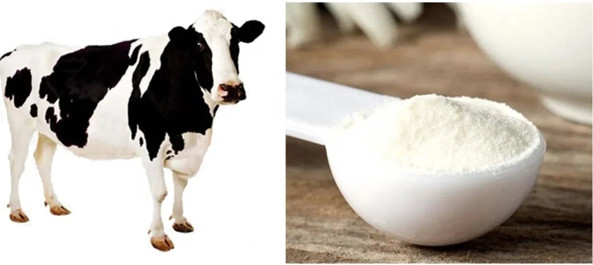 Factory Pure Natural Hydrolyzed Bovine Collagen Peptide Powder for Skincare Cosmetics Moisture replenishment
