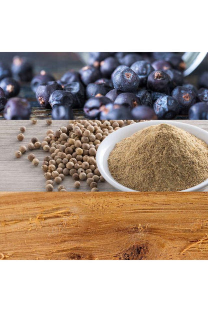 Calvin Klein CK BE Eau De Toilette Spray 200ML