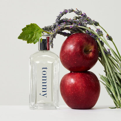 Tommy Hilfiger Men EDT 100ml - Fresh Woody Aromatic