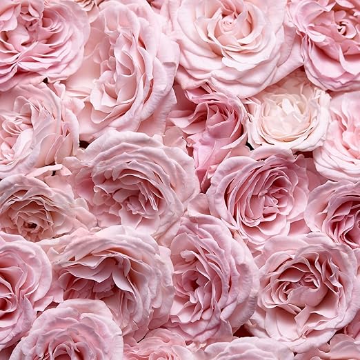 Escada Especially Escada Eau De Parfum Spray 75ml