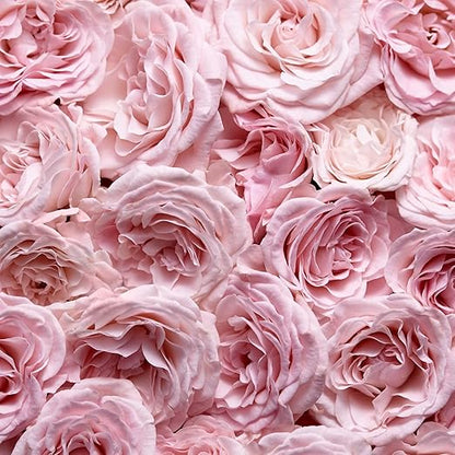 Escada Especially Escada Eau De Parfum Spray 75ml