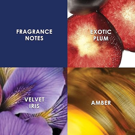 Britney Spears Midnight Fantasy Eau De Parfum Spray 50ml