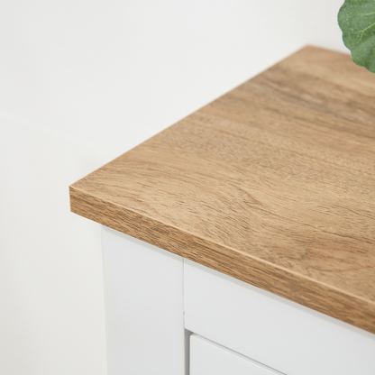 2 Drawer Shoe Cabinet Narrow Shoe Cupboard with Flip Doors White