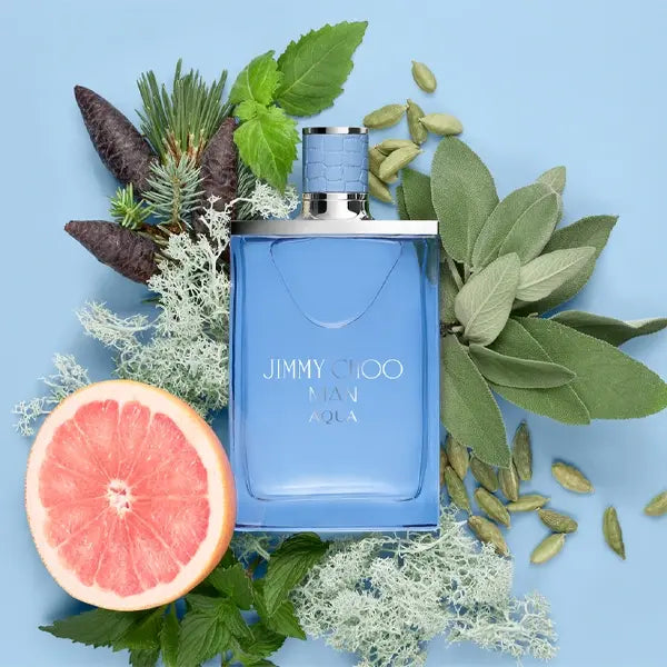 Jimmy Choo Man Aqua Eau De Toilette Spray 30ml