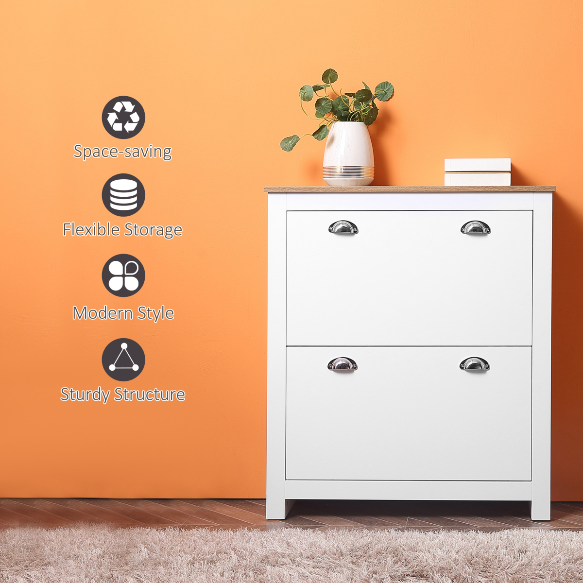 2 Drawer Shoe Cabinet Narrow Shoe Cupboard with Flip Doors White