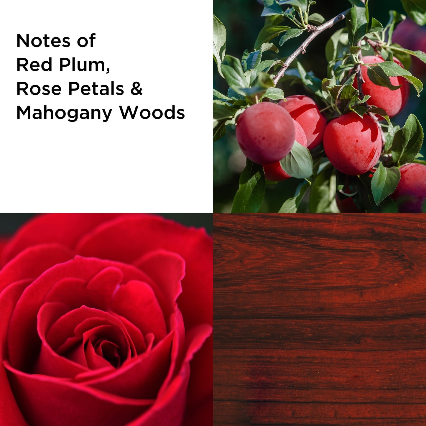 Elizabeth Arden Always Red Femme Eau De Toilette Spray  100ml