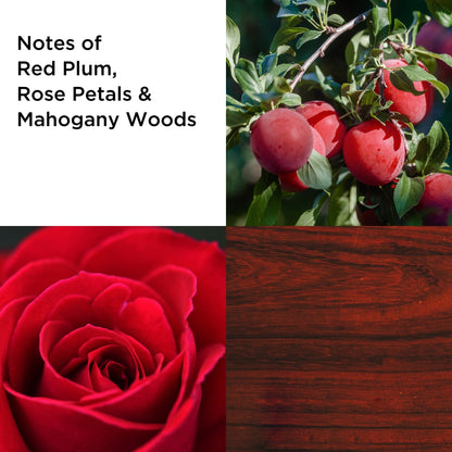 Elizabeth Arden Always Red Femme Eau De Toilette Spray  100ml