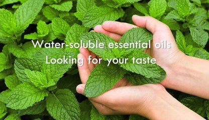 Peppermint Essential Oil for Aromatherapy Diffuser - Mint Scented Extract in Huge - 100% Pure and Natural Undiluted Fragrance