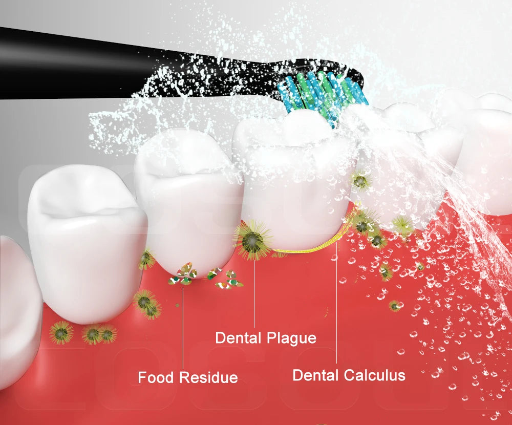 Electric Toothbrush Sonic Rechargeable Top Quality Smart Chip Toothbrush Head Replaceable Whitening Healthy Best Gift !