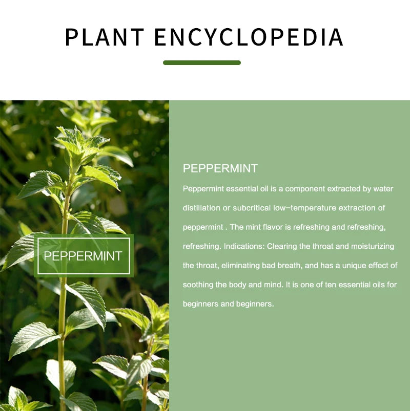 Peppermint Essential Oil for Aromatherapy Diffuser - Mint Scented Extract in Huge - 100% Pure and Natural Undiluted Fragrance