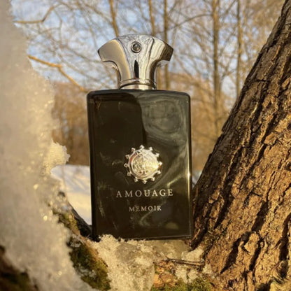 100ml Men Perfume Woody Aromatic Eau De Parfum Long Lasting Fresh Warm Rich Elegant Masculine Fragrance with Captivating Depth