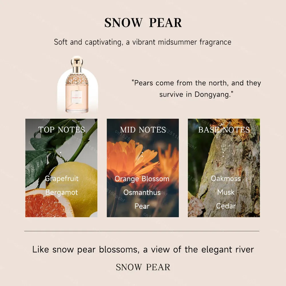 100Ml Brand Perfume Natural Fresh Women Perfumes Spray Lasting Floral Fruity Scent Fragrance Attractive Pheromone Daily Cologne
