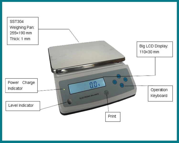 10kg 20kg 30kg 0.1g Under Weighing Hook Weight Platform Electronic Balance Weigher Digital Scale