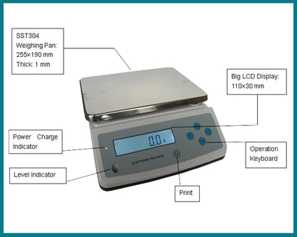 10kg 20kg 30kg 0.1g Under Weighing Hook Weight Platform Electronic Balance Weigher Digital Scale