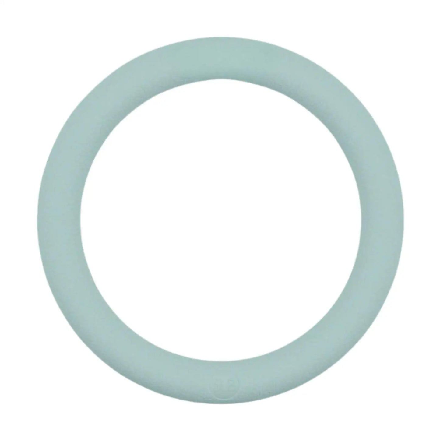 Weight Ring for Indoor and Outdoor Workout Equipment Kettlebell Weighted Circle 5lb for Yoga Exercise Pilates Strength Training