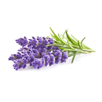 Oroaroma Lavender Essential Oil – A Natural Essence for Body Care, Aromatherapy, and Relaxing Spa Moments