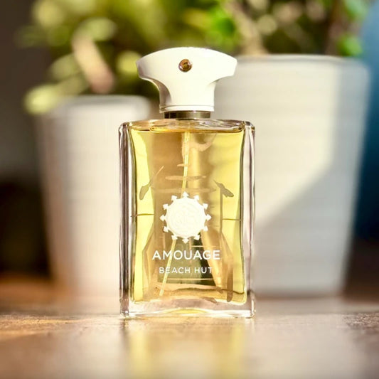 Men’s Woody Perfume Collection with Spicy Floral and Woody Notes for Daily Wear Romantic Evenings and Long Lasting Confidence