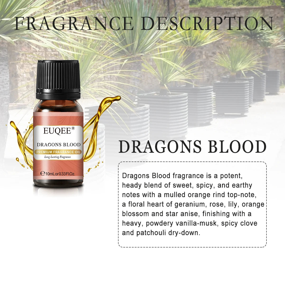 Men's Fragrance Oils for Humidifier Diffuser Leather Bay Rum Forest Pine Sandalwood Cedarwood Essential Oil Making Perfume