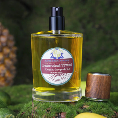 Men's Original Alcohol-Free Perfume Long Lasting Woody Notes Cedar Musk Amber Intense EDP Summer Deodorant Clothes Fragrance