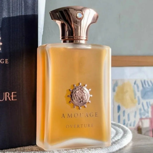 100ml Men Perfume Woody Aromatic Eau De Parfum Long Lasting Fresh Warm Rich Elegant Masculine Fragrance with Captivating Depth