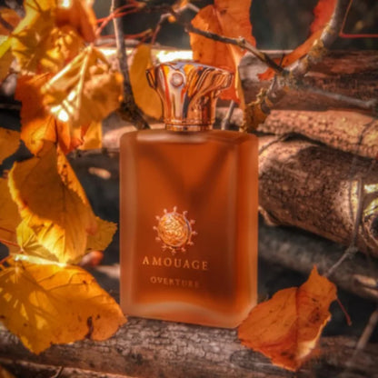 100ml Men Perfume Woody Aromatic Eau De Parfum Long Lasting Fresh Warm Rich Elegant Masculine Fragrance with Captivating Depth