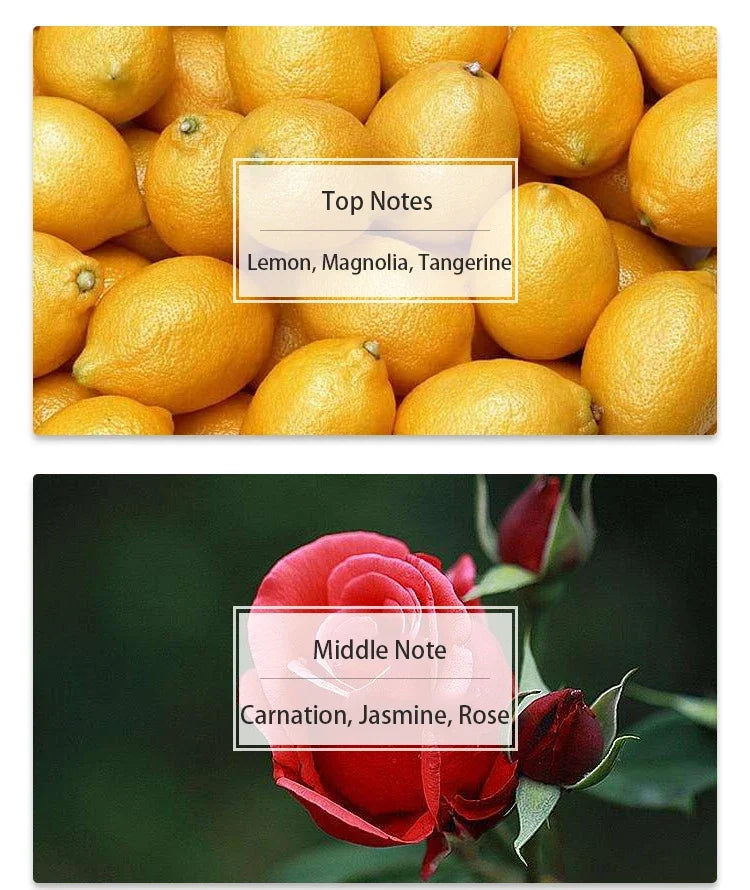 30ml Women's Perfume Fragrance Notes Lasting Fragrance Body Spray Natural Taste Parfum Cologne Dating Lemon Rose Musk Original