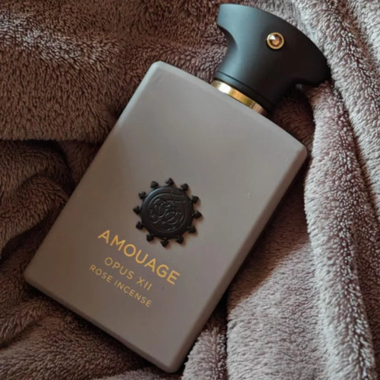 100ml Men Perfume Woody Aromatic Eau De Parfum Long Lasting Fresh Warm Rich Elegant Masculine Fragrance with Captivating Depth