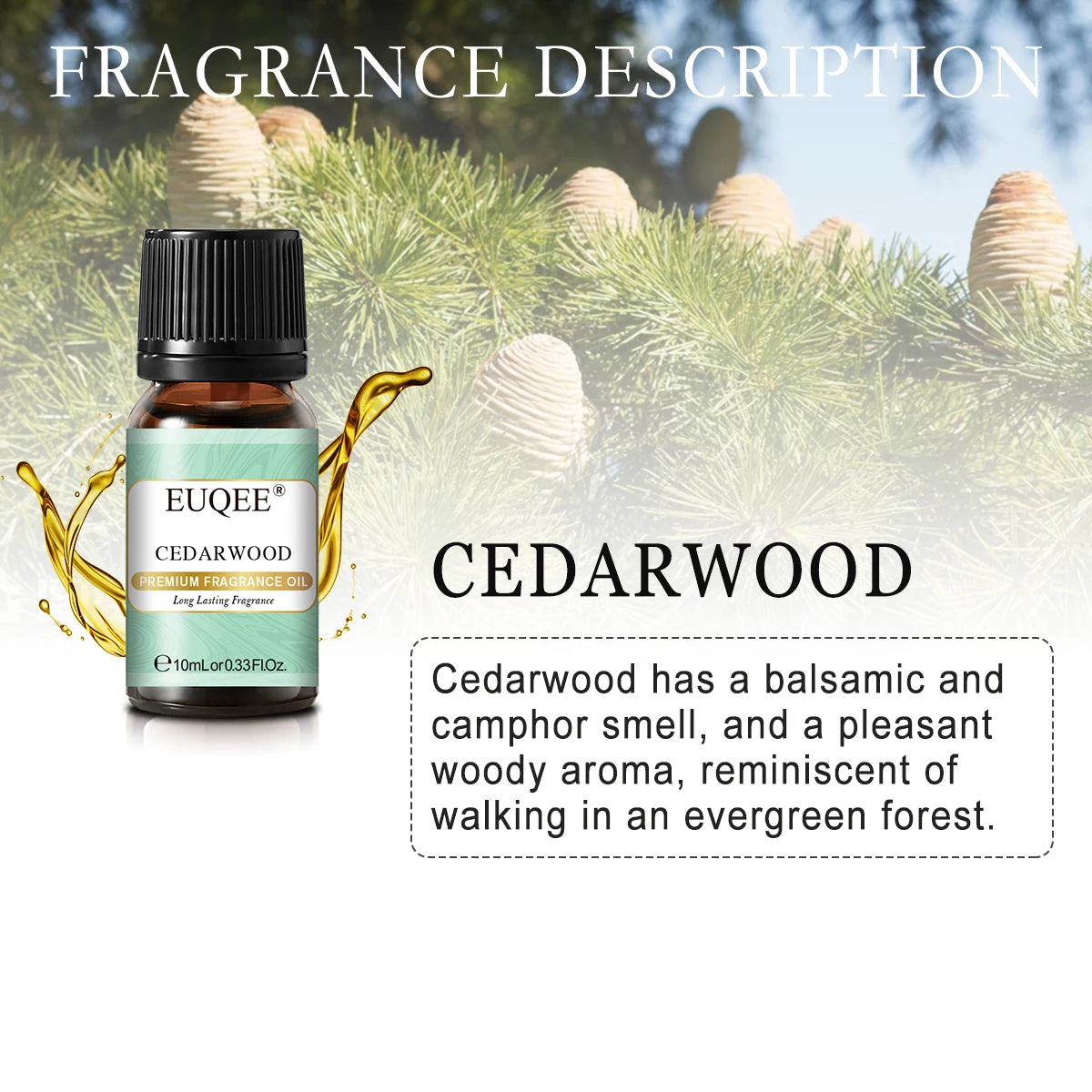 Men's Fragrance Oils for Humidifier Diffuser Leather Bay Rum Forest Pine Sandalwood Cedarwood Essential Oil Making Perfume