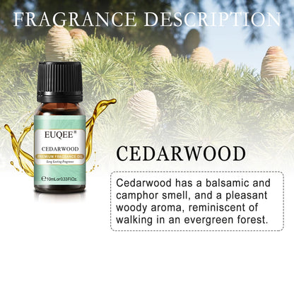 Men's Fragrance Oils for Humidifier Diffuser Leather Bay Rum Forest Pine Sandalwood Cedarwood Essential Oil Making Perfume