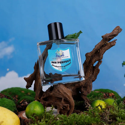 Men's Eau de Parfume 50ml Alcohol-Free Woody Fresh Long Lasting Fragrance Oil Cologne Gift Set for Him Vegan & Hypoallergenic